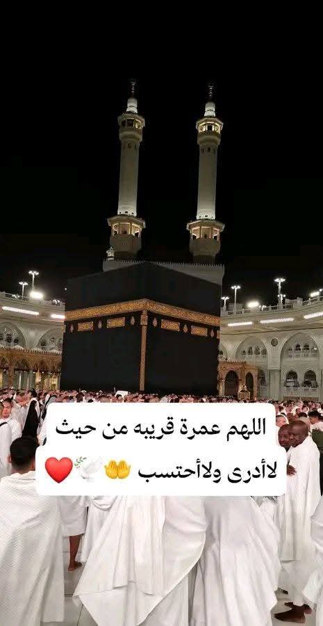 سلمى ست الدار